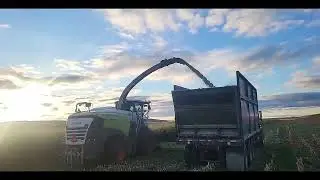 CLAAS JAGUAR 970 For Sale