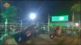 Bopo Rembo Jian Solahe Full Banget Guys Ikuti Mahesotirtoaji Guys Agar Gak Ketinggalan