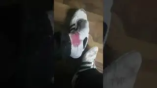 Messy Adidas Sneaker