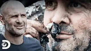 Banquete extremo nos manguezais de Born&eacute;u | Ed Stafford: Contra Todos | Discovery Brasil