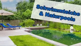 Die sch&ouml;nsten Schwimmteiche & Naturpools 2023 ▬ Inspiration ▬ Werbevideo von ProTeich
