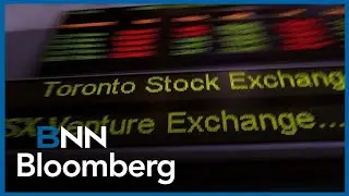 'Relatively muted outlook for the banking sector, which is a big sector within the TSX': Hass