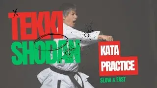 Shotokan Karate Kata Tekki Shodan: One Line Kata Training. #shotokan #karate #kata #practice