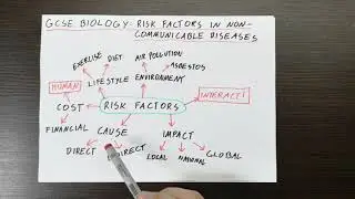 GCSE Biology Risk Factors in Non Communicable Diseases