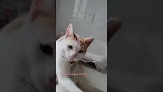 I have NEVER seen Benny this angry! 😭😭😭