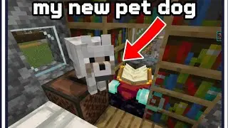 Minecraft: I Finally Got a Puppy! 🐶 (Building His Dream Home) | Creative mode