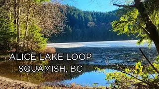 Peaceful Forest Walking Tour | Alice Lake Loop, Squamish BC Canada