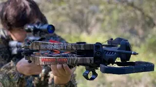 Barnett Stalker 380 Review