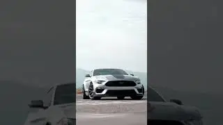 Mustang Mach 1 on 19