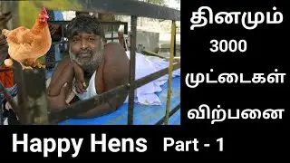 தினமும் 3000 கோழி முட்டைகள் மேய்ச்சல் முறையில் இந்தியா முழுவதும் விற்பனை|Happy hens|PART- 1