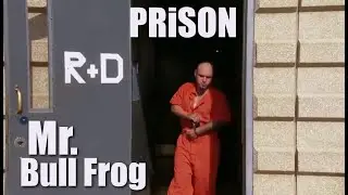 The Most Dangerous Animals in the Zoo | The Bull Frog