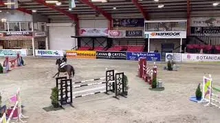 Aimee Barry on Cello winners the Welcome Stakes 130 speed in Cavan EQ out of 100 entries Nov 2022