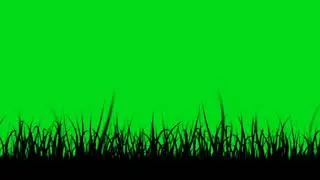 Grass wind Green Screen #shorts #grass #wind #greenscreen