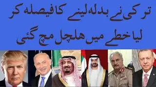 Turkey decided to take revenge | Turkey vs Israel and America | Turkey Attack | Riyasat e Madeena