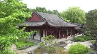 Hortus botanicus Haren  / Het verborgen rijk van Ming (2020)