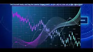 Lamina Trade Project Review @bwcrypro