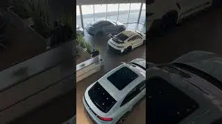 Frozen Blue frozen 🥶 Macan 4