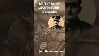 A #WW1 soldier - H.H.Munro (&lsquo;Saki&rsquo;) - describes birdlife on the Western Front in 1916.  #podcast.