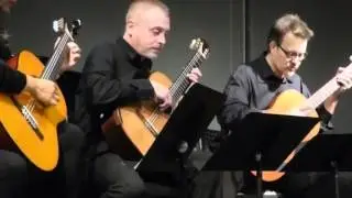 The Villa Musica Guitar Ensemble