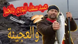 تمكنت من صيد البوري بتقنية رائعة 😎...متعة الصيد لحظة بلحظة 