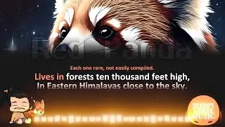 The Red Panda - Sleepy Verse Music (Ai)