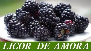 Como Fazer Licor de Amora