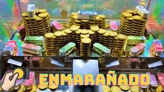 La telaraña de monedas y billetes me beneficia 01-27