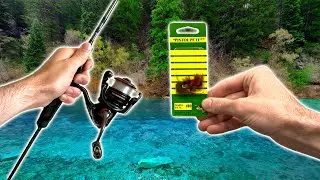 Tiny Mountain Pond Fishing for Rainbow Trout with Pistol Pete Flies