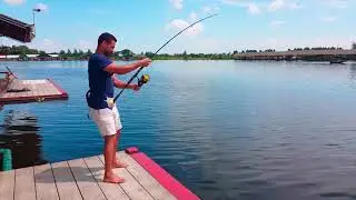 Crazy fight with a freshwater GIANT fish at Bungsumran Park Bangkok
