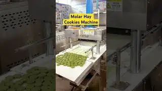 Fully automatic molar hay cookies Machine alfalfa grass cookies machine