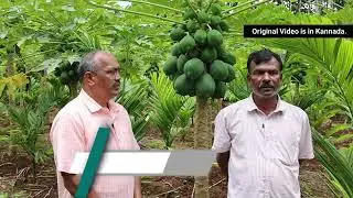 Customer Success Story- Dinesh Hegde for Papaya - Hindi PJ degalmadi