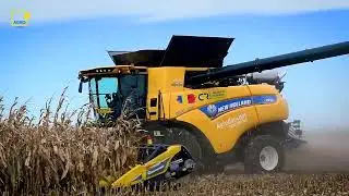 O demonstrație AgroConcept la superlativ! CR8.90 + heder Geringhoff 16 r&acirc;nduri. 620,3 tone/6 ore.