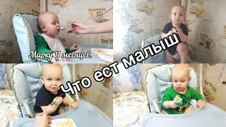 что ест малыш в 11 месяцев.Питание на день.