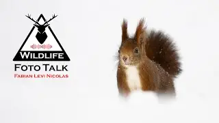 Wildlife Foto Talk Folge 4 - Neues Objektiv, Neujahrsvors&auml;tze und Micro-Four Thirds