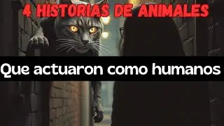EL GATO DIAB&Oacute;LICO QUE ACT&Uacute;A COMO UN HUMANO (RELATOS DE HORROR)