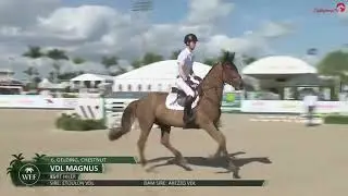 Magnus presentation highlights