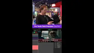 Non-Lethal Applications Cue Pro offers integrated ADR workflows in Pro Tools