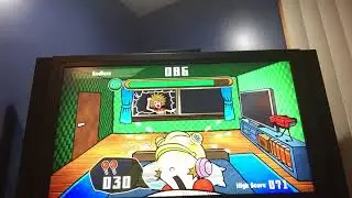 Game & Wario Gamer 9-volt