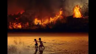Forest Fire Deadly Impact