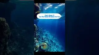 This Underwater Sound Is Pure Therapy 🌊