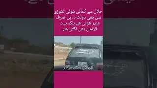 Halal Wealth #youtubeshorts #shortsviral #shortvideo