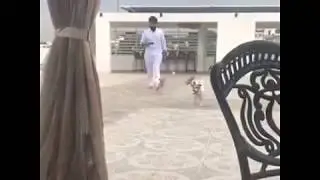 Ram charan playing with dogs || Ram charan Unseen personal Video