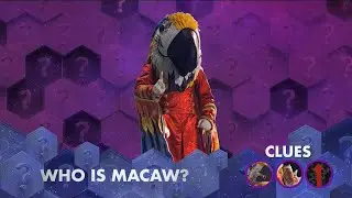 The Masked Singer 9 - Macaw Clue Package