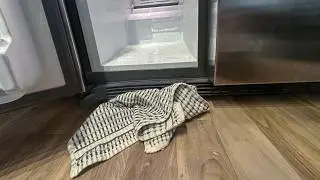 GE Side-by-Side Fridge Leaks Water Onto Floor