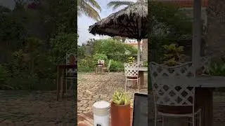 Cabo Verde | Tarrafal | KingFisher