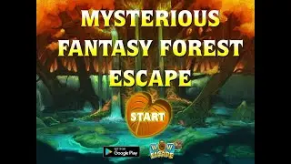 mysterious fantasy forest escape video walkthrough