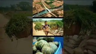 Farming in Chittagong // 2022 🇧🇩