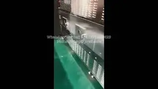 Microwave drying and sterilization equipment for chili powder