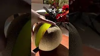 Japan Musk Melon 🇯🇵