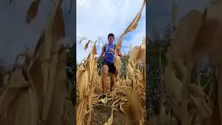 🌽Просто послушайте этот хруст!🌽